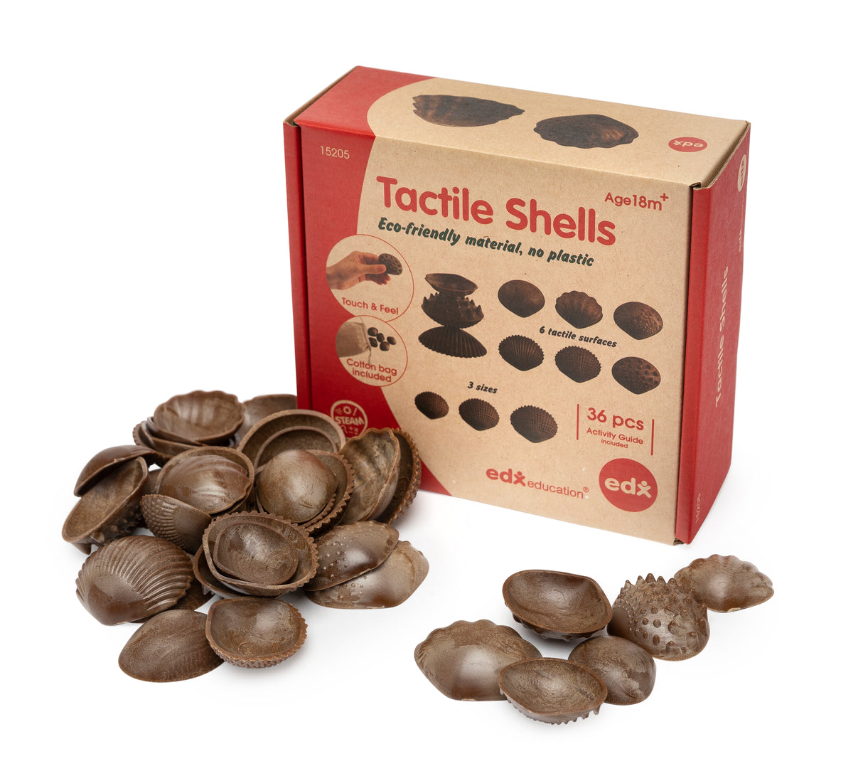 5 Tactile Shells - Educational Vantage