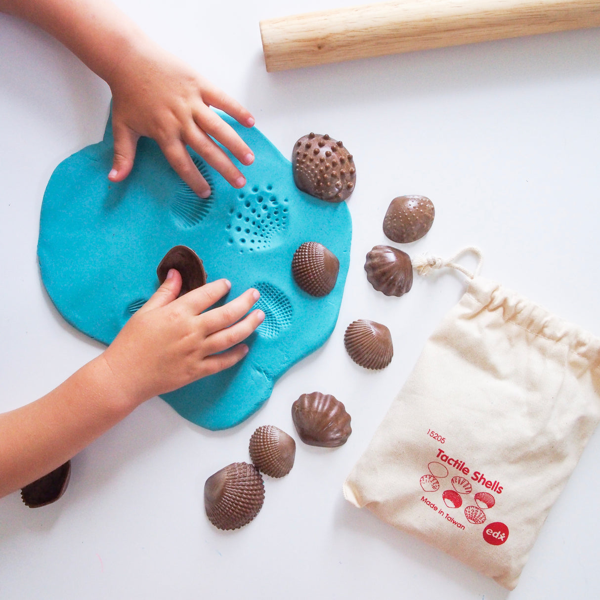 5 Tactile Shells - Educational Vantage