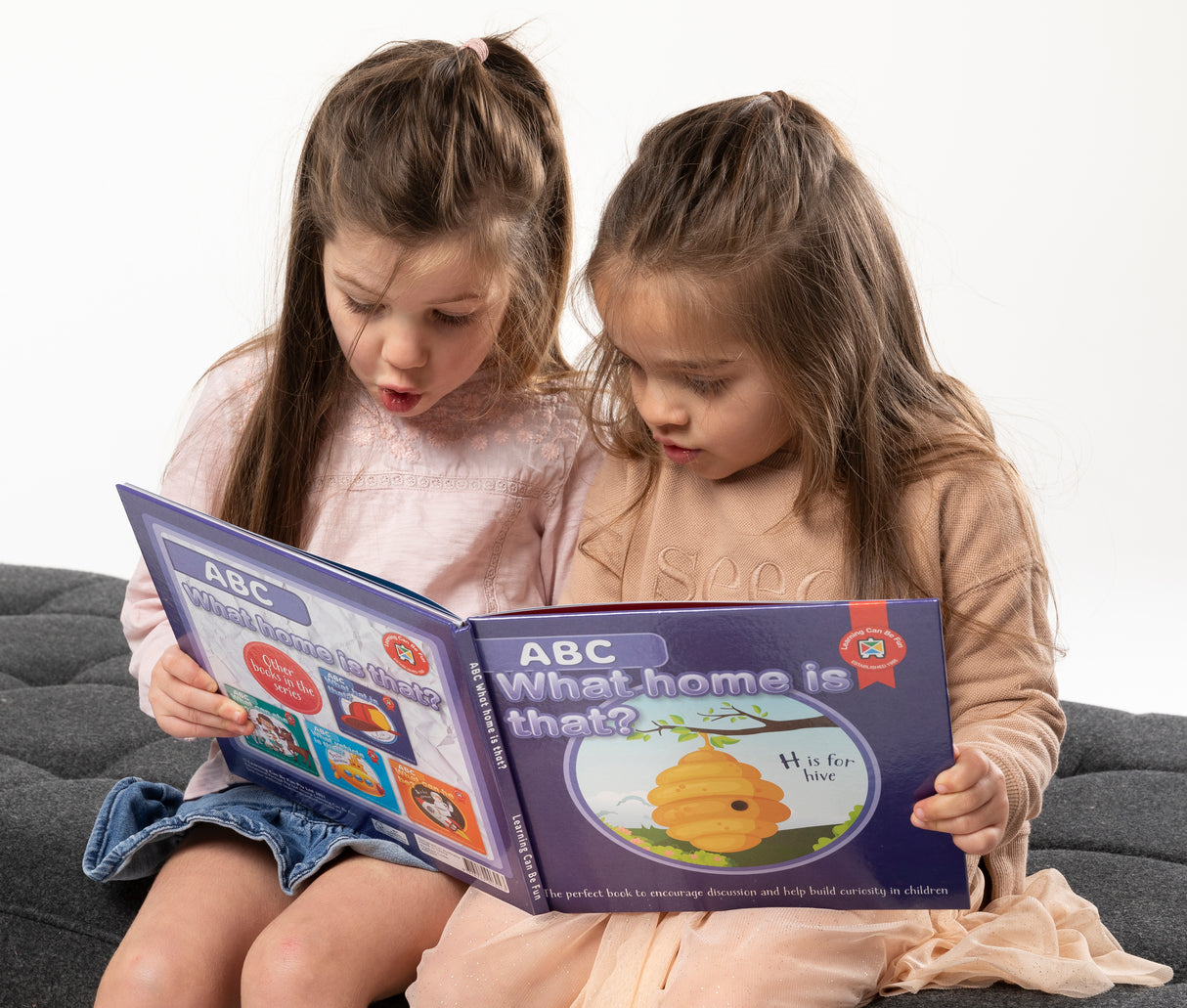 ABC What Home Is That? - Educational Vantage