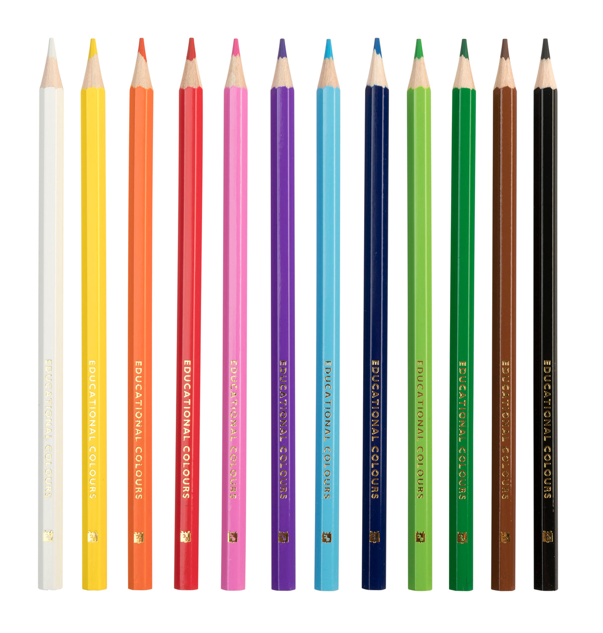 Washable Colouring Pencils - Educational Vantage