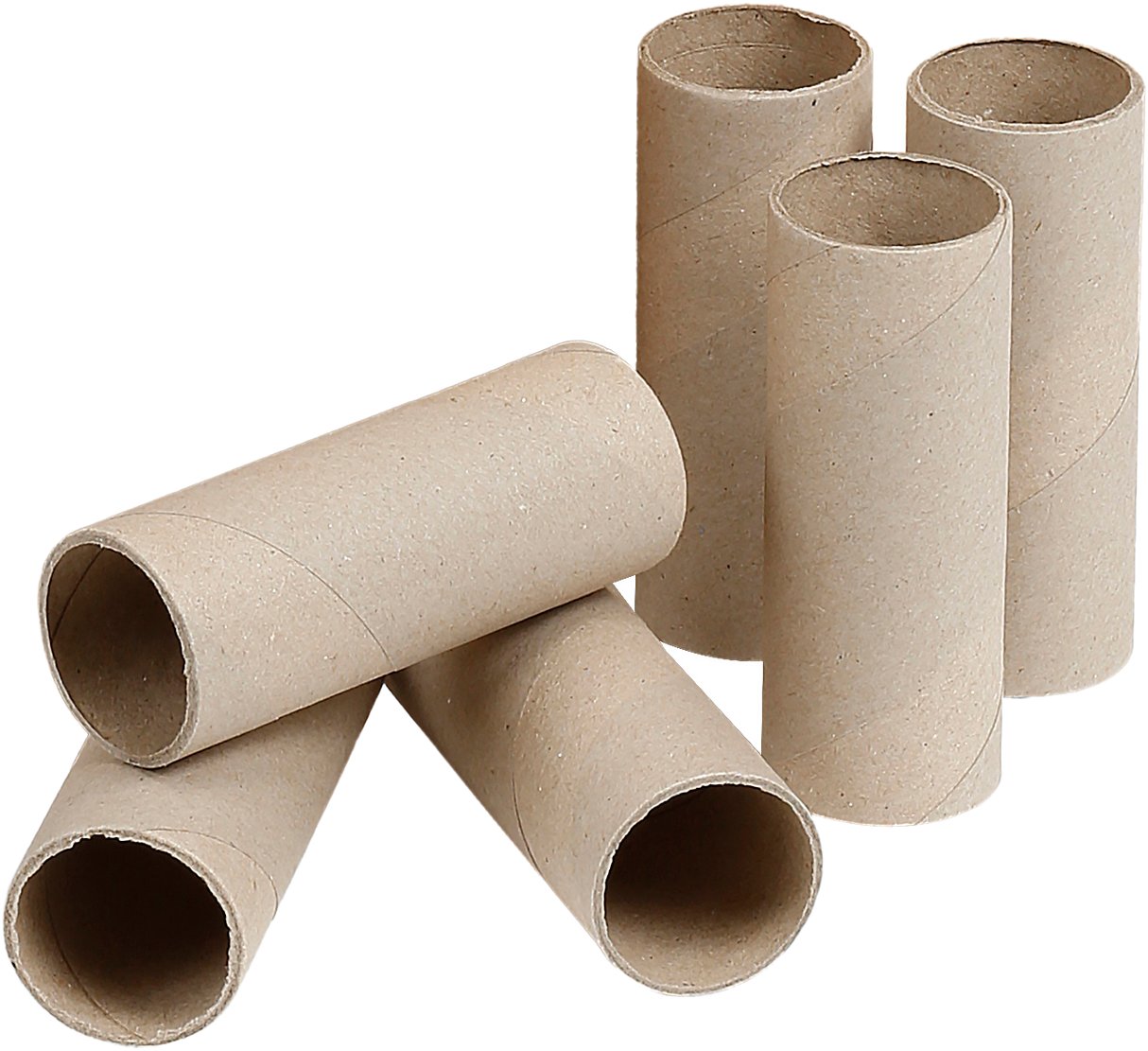 Hygenic Craft Rolls - Educational Vantage