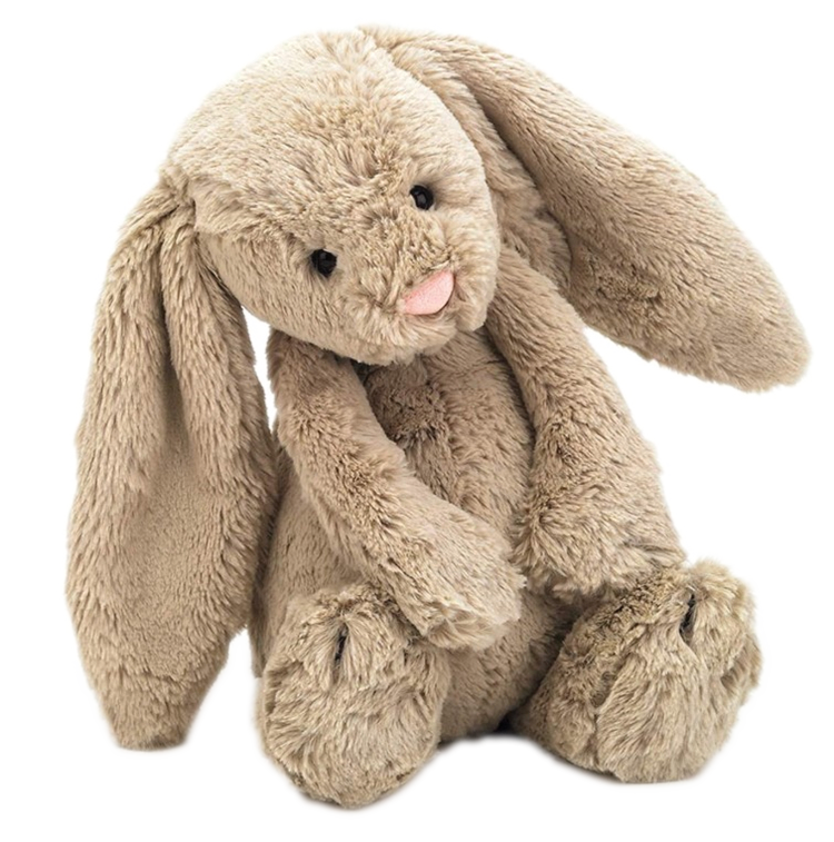 Weighted Relaxing Rabbit - Educational Vantage
