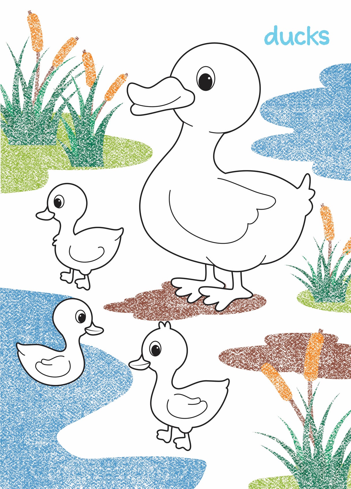 My First Colouring Book - Farm Animals - Educational Vantage