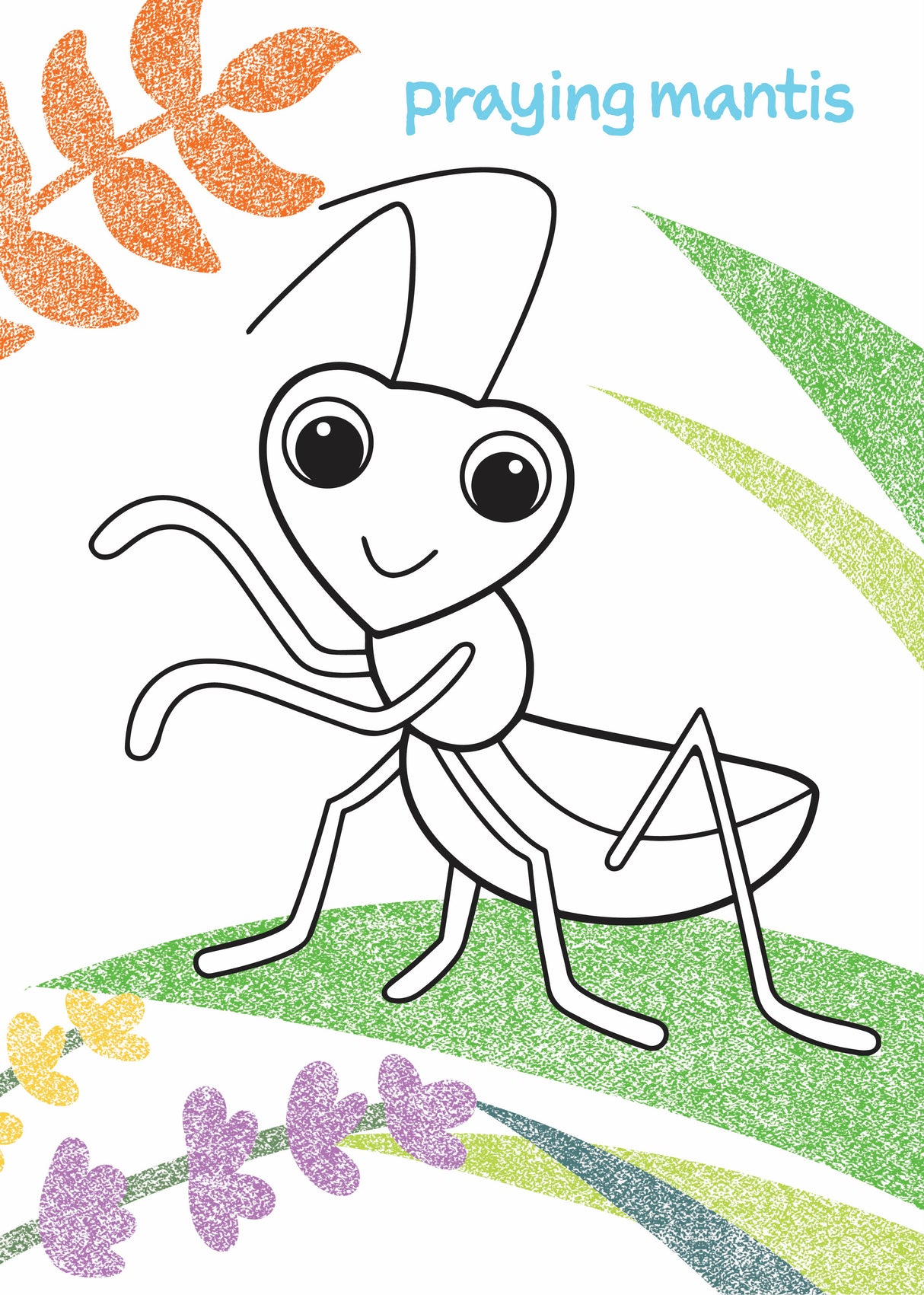 My First Colouring Book - Garden Bugs - Educational Vantage
