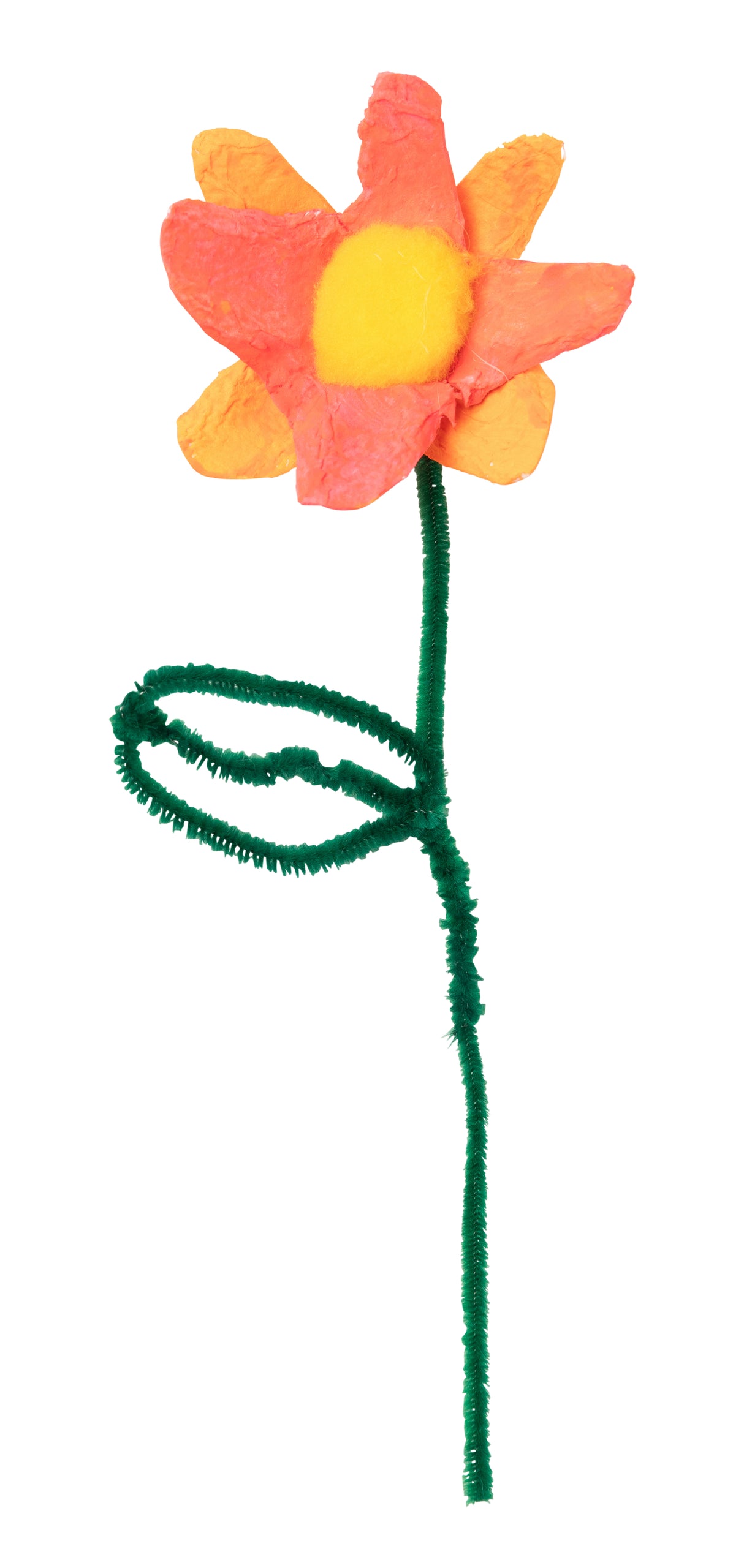 Hygienic Egg Cartons Pack 24 - White - Educational Vantage