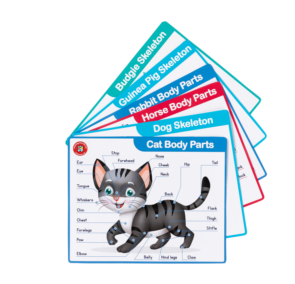 My First Vet Set - Educational Vantage