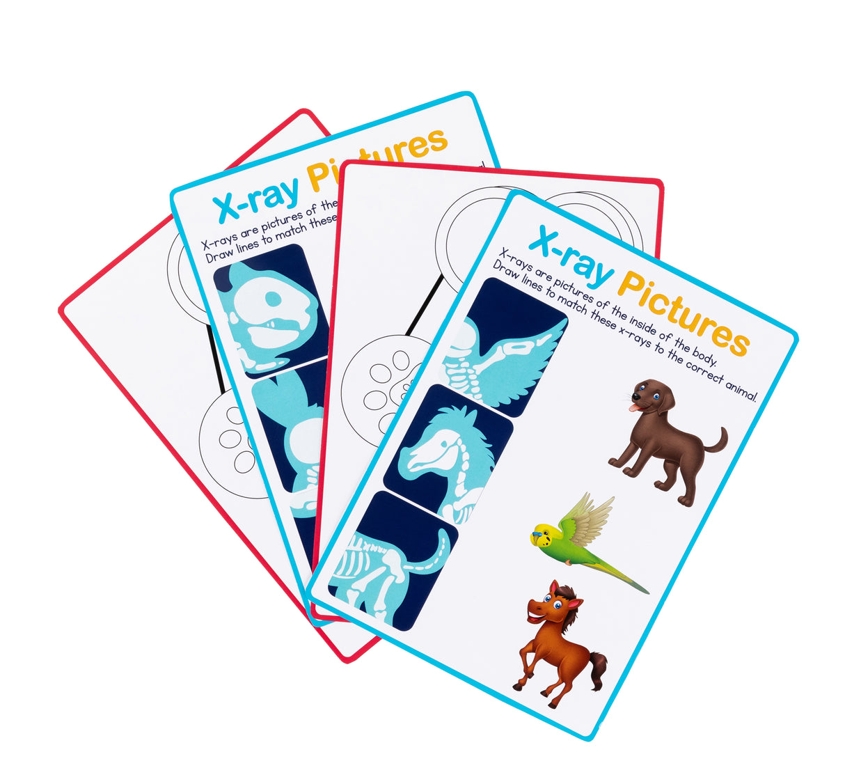 My First Vet Set - Educational Vantage