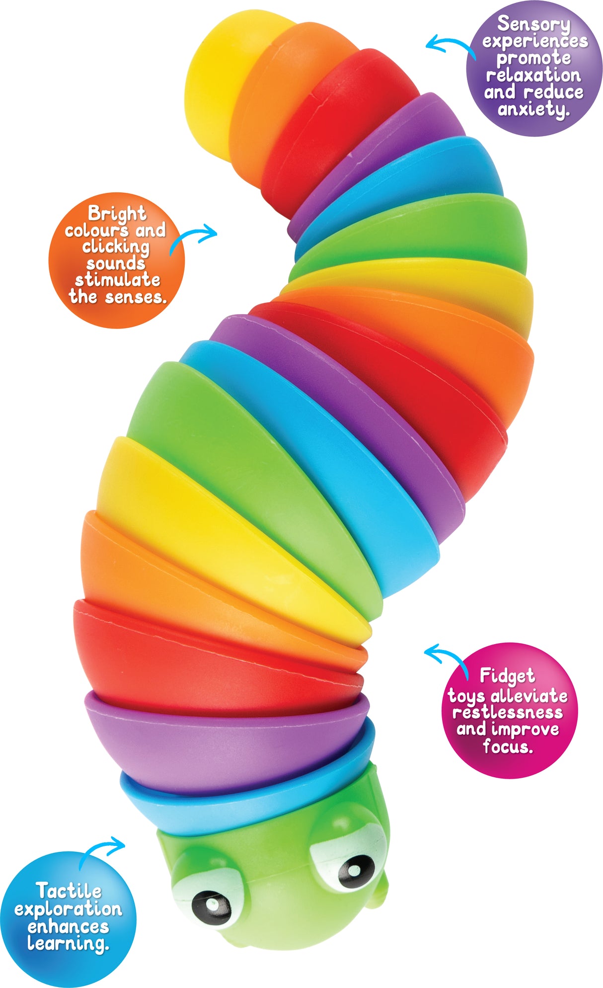 Curly Caterpillar - Educational Vantage