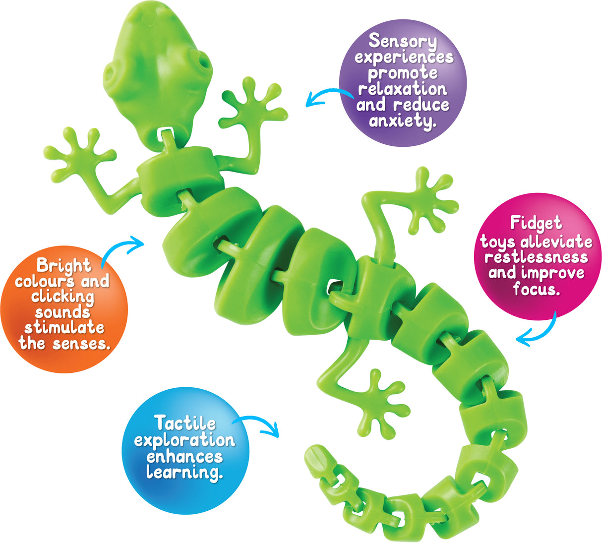 Wriggly Gecko - Educational Vantage