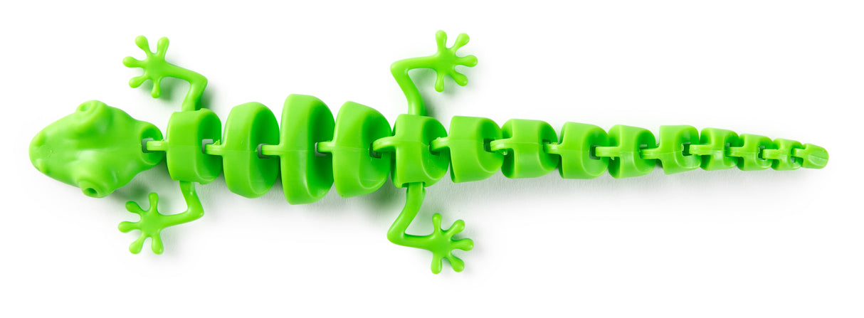 Wriggly Gecko - Educational Vantage