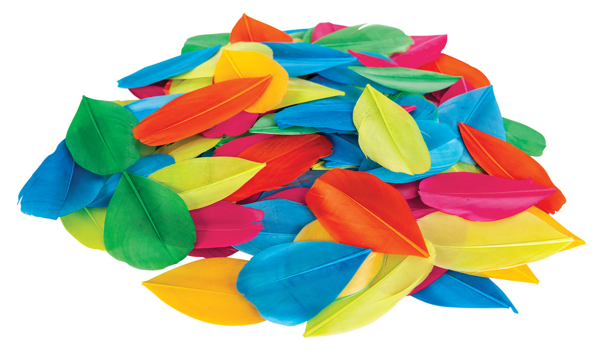 Trimmed Feathers Assorted 20g - Educational Vantage