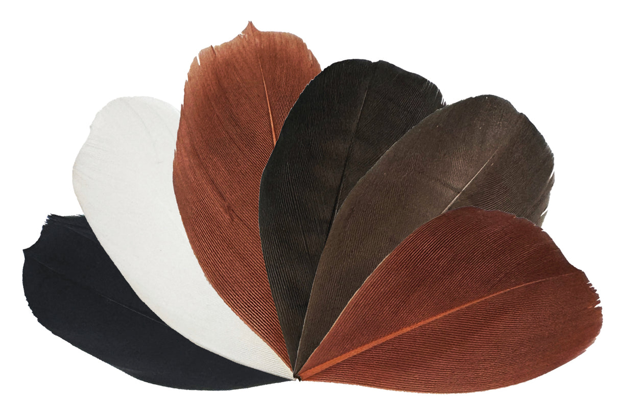 Trimmed Feathers Natural 20g - Educational Vantage