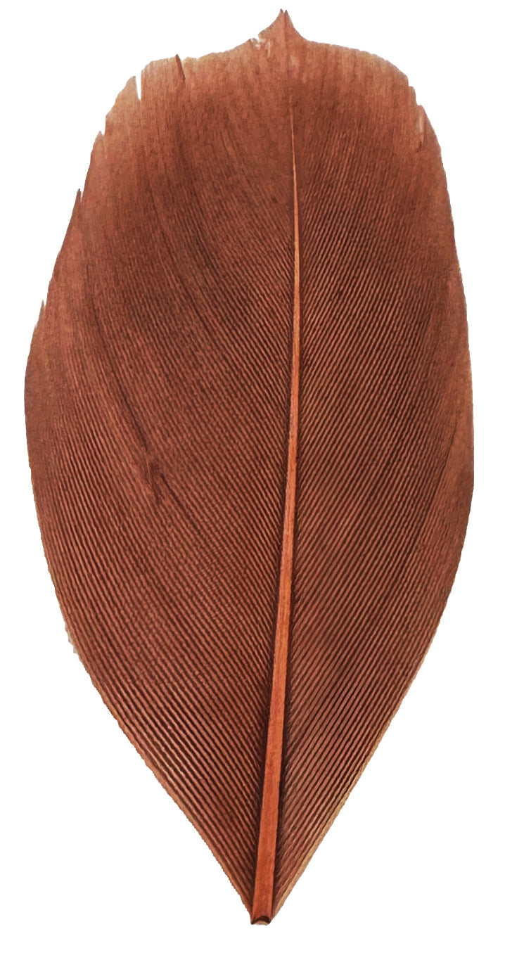 Trimmed Feathers Natural 20g - Educational Vantage