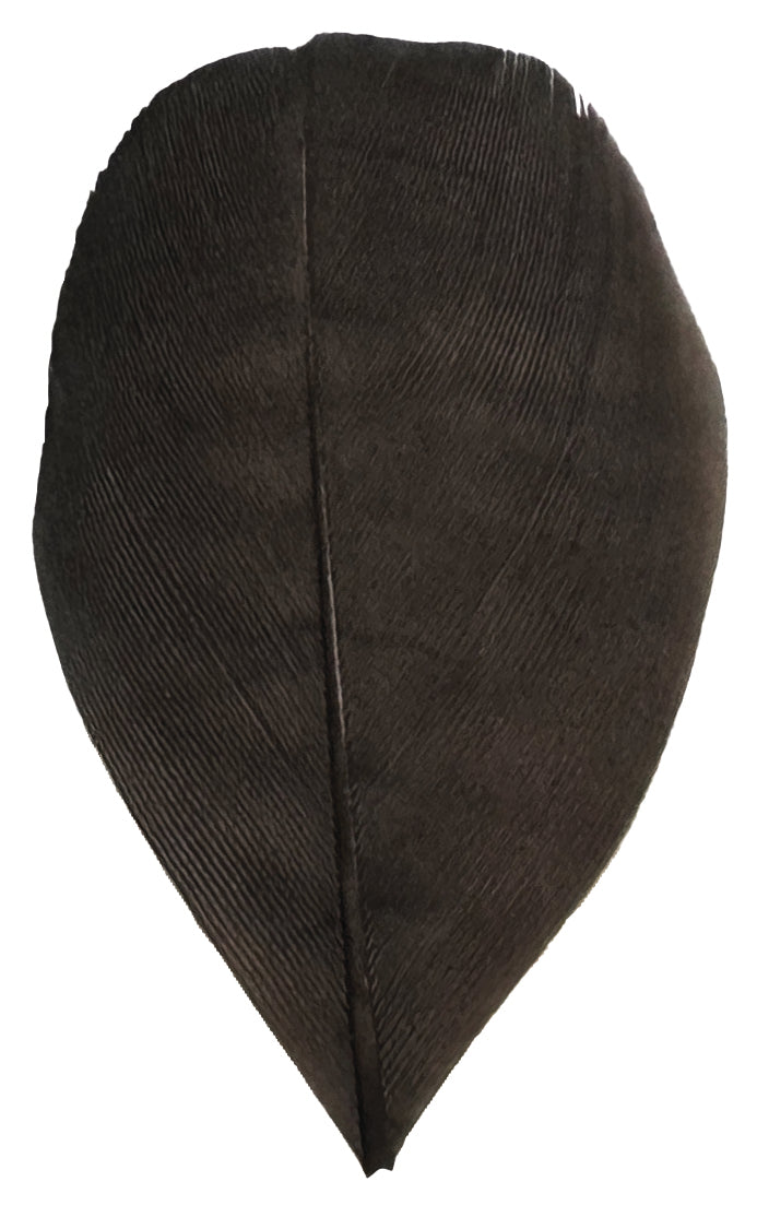 Trimmed Feathers Natural 20g - Educational Vantage