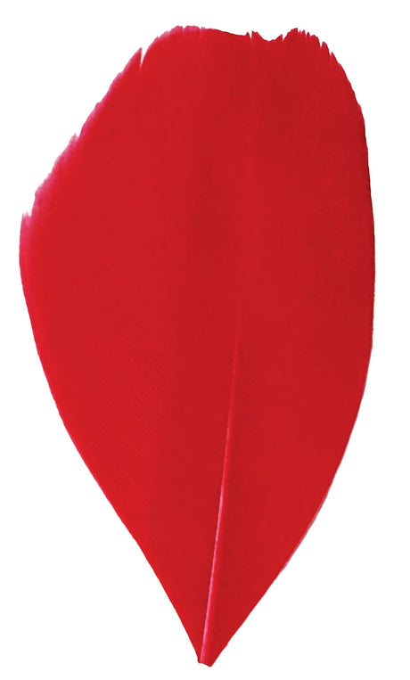 Trimmed Feathers Christmas Mix 30g - Educational Vantage