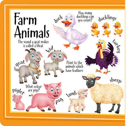 Let's Learn Animals Board Book - Educational Vantage
