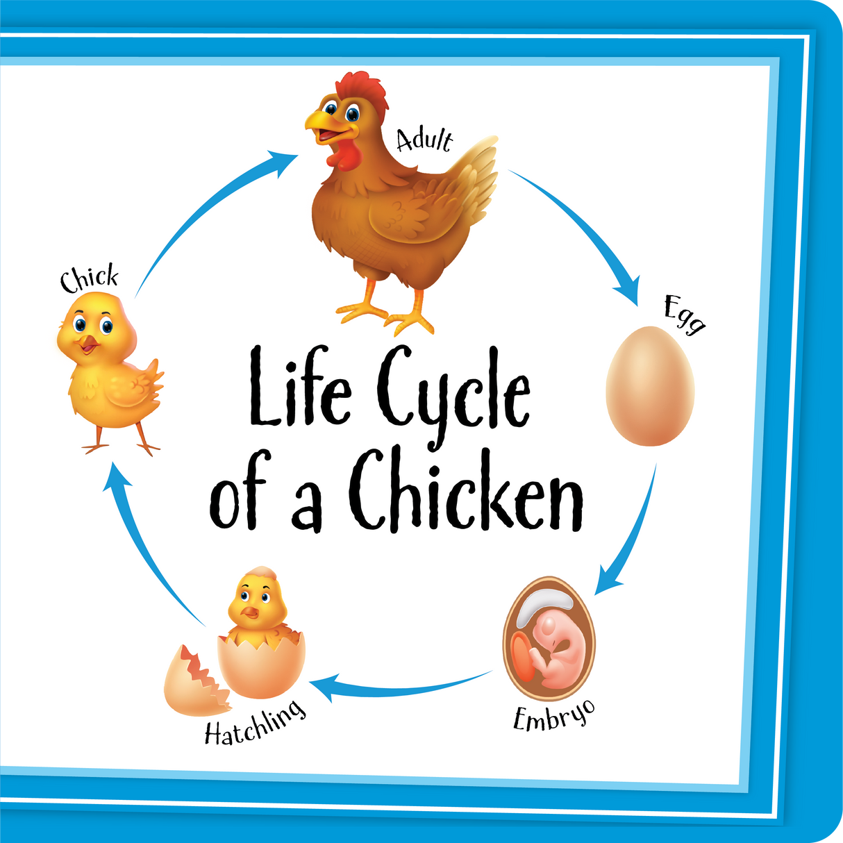 Let's Learn Animals Board Book - Educational Vantage