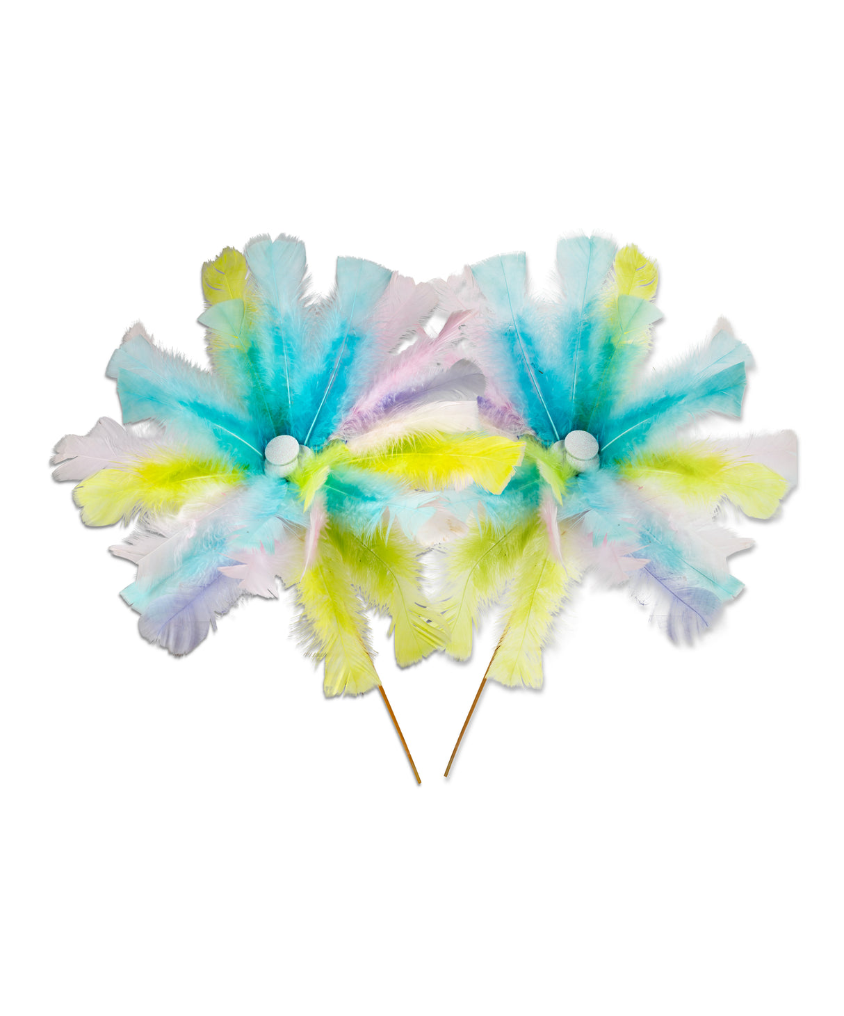 Pastel Turkey Feathers - Educational Vantage