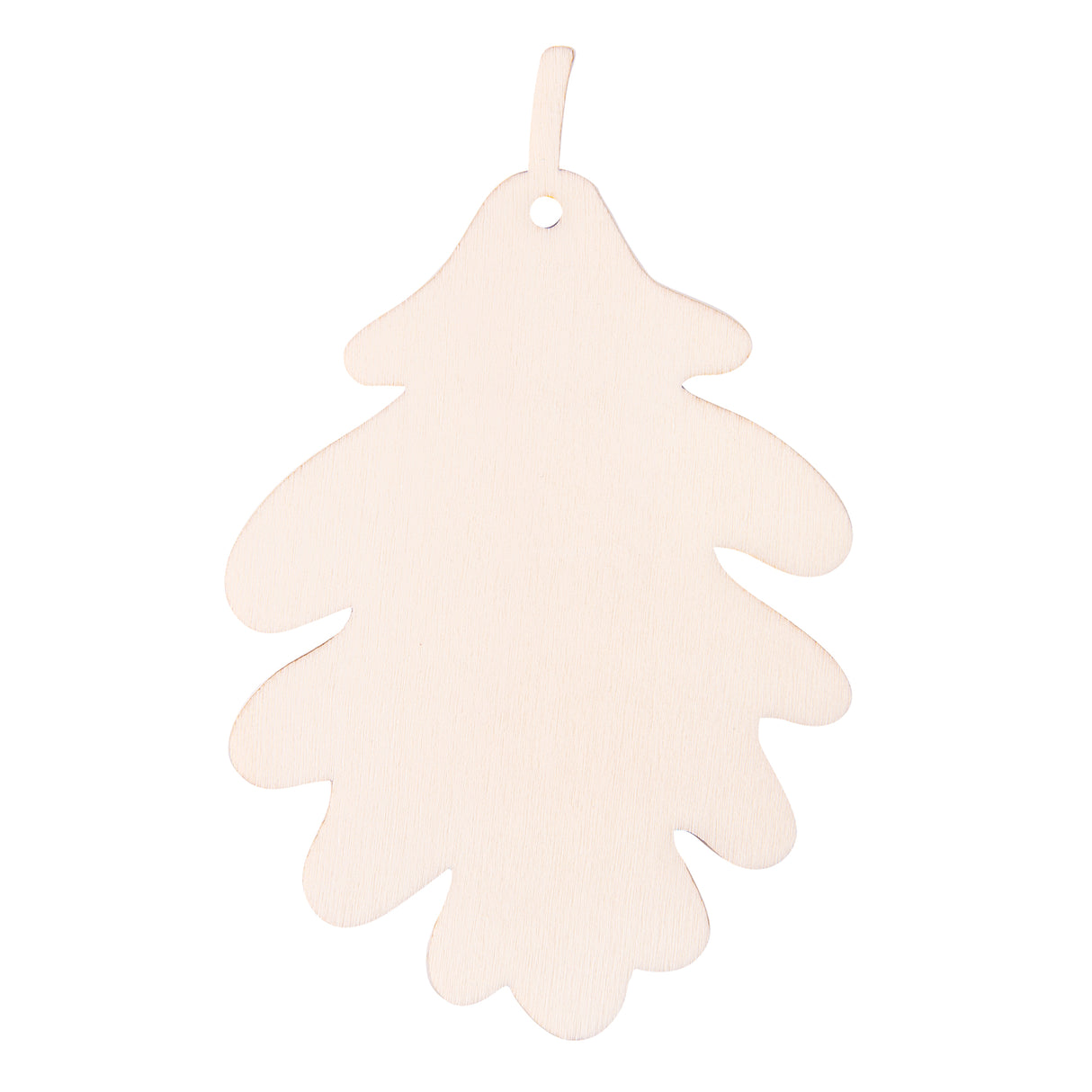 Zart Wooden Leaf Adornments Pack of 24 - Educational Vantage