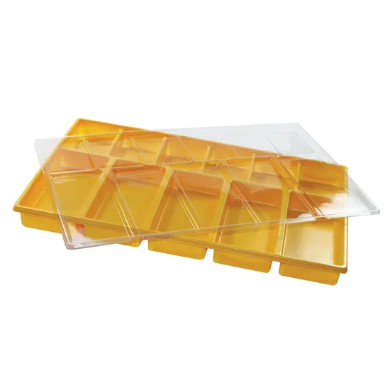 Money Tray - Educational Vantage