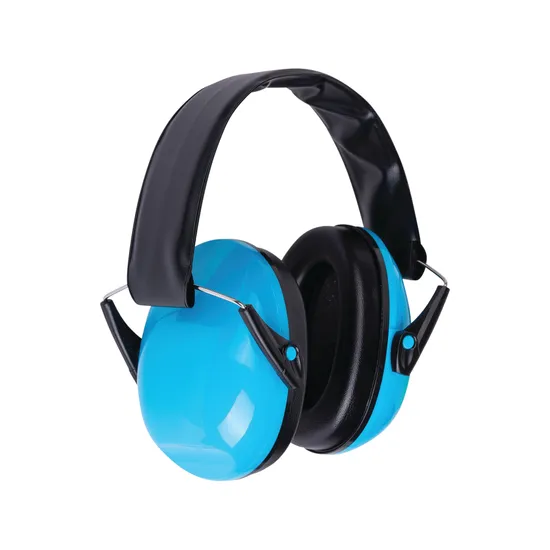 27Db Hearing Protector - Blue - Educational Vantage