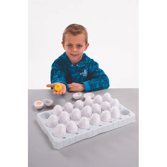 Chicken Life Cycle - Set of 21 Eggs - Educational Vantage