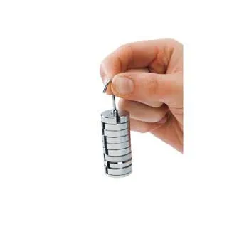 Slotted Weights - 10 x 10 grams - Educational Vantage