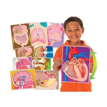 My Body In Action - Set of 10 Cards - Educational Vantage
