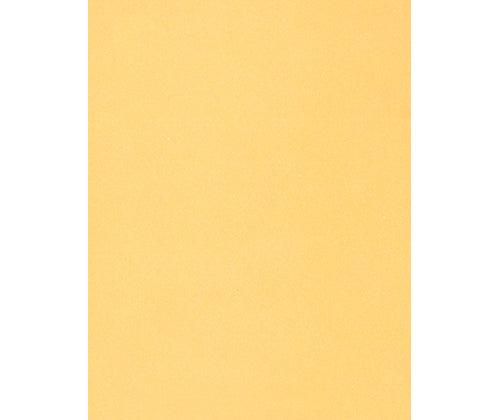 Skin / Earth Tone Craft Paper Pack of 48 - Educational Vantage