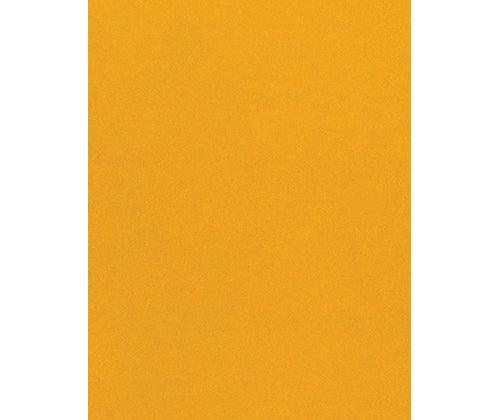 Skin / Earth Tone Craft Paper Pack of 48 - Educational Vantage