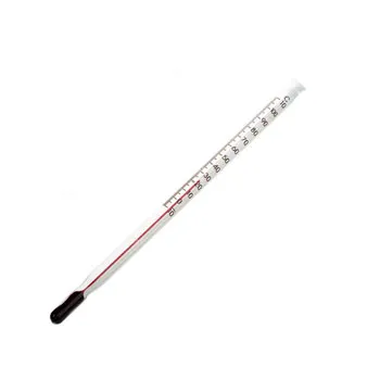 Thermometer - Red Spirit Immersion - 205mm - Educational Vantage