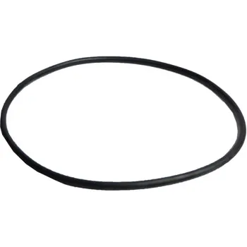 Dynamo - Spare Belt - Educational Vantage