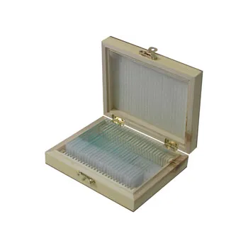 Slide Set - Biology Basic - Set of 25 - Educational Vantage