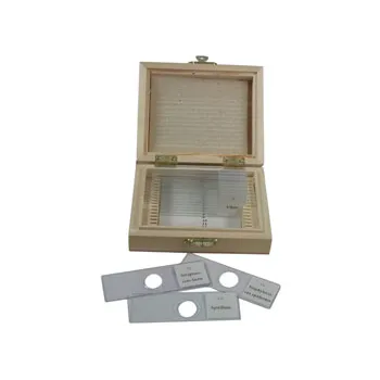 Slide Set - Mixed Bacteria - Set of 12 - Educational Vantage