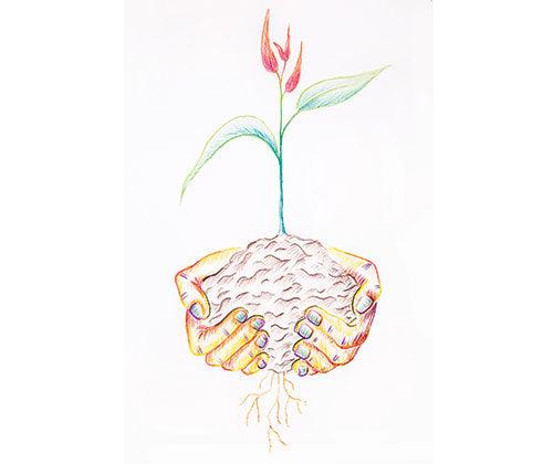 Zart Basics Triangular Coloured Pencils - Educational Vantage