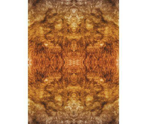 Pattern Paper A4 Animal Pack of 40 - Educational Vantage