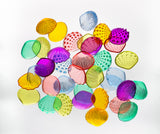 Transparent Tactile Shells - Educational Vantage