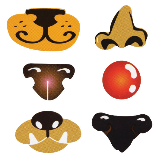 Adhesive Noses - Educational Vantage
