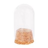 Zart Glass Mini Domes Pack of 10