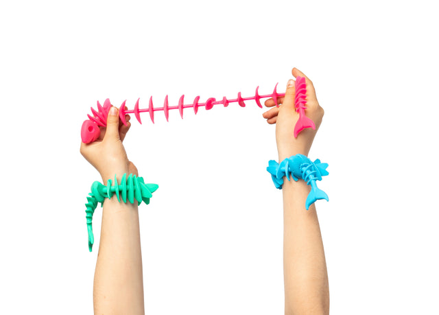 Fidget Fish | Educational Vantage