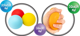 Rainbow Squishy Sensations Set - Educational Vantage