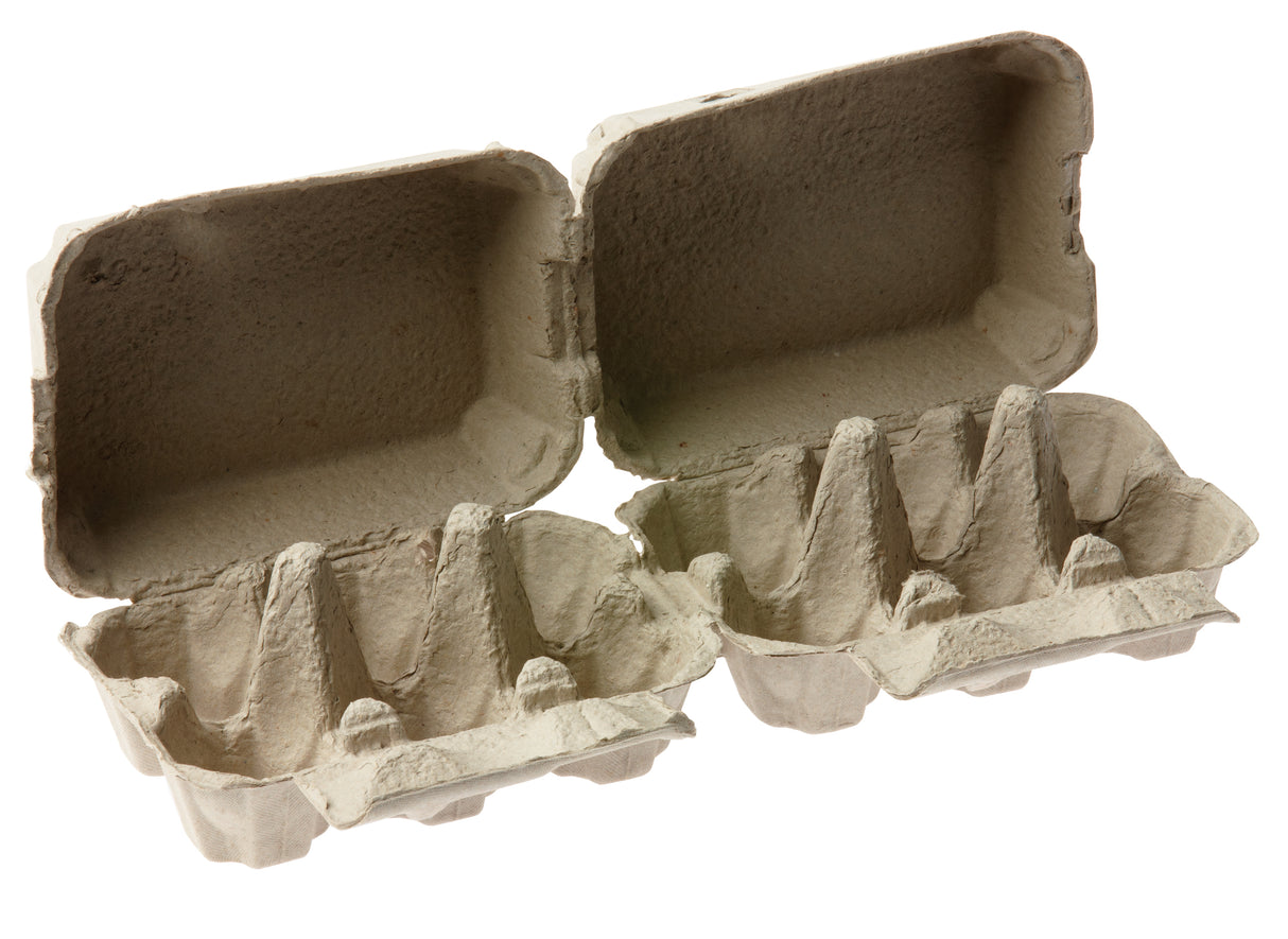 Egg Cartons 6 Wells Pack of 24