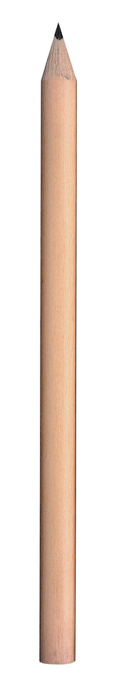 Jumbo Triangular HB Pencils - Educational Vantage