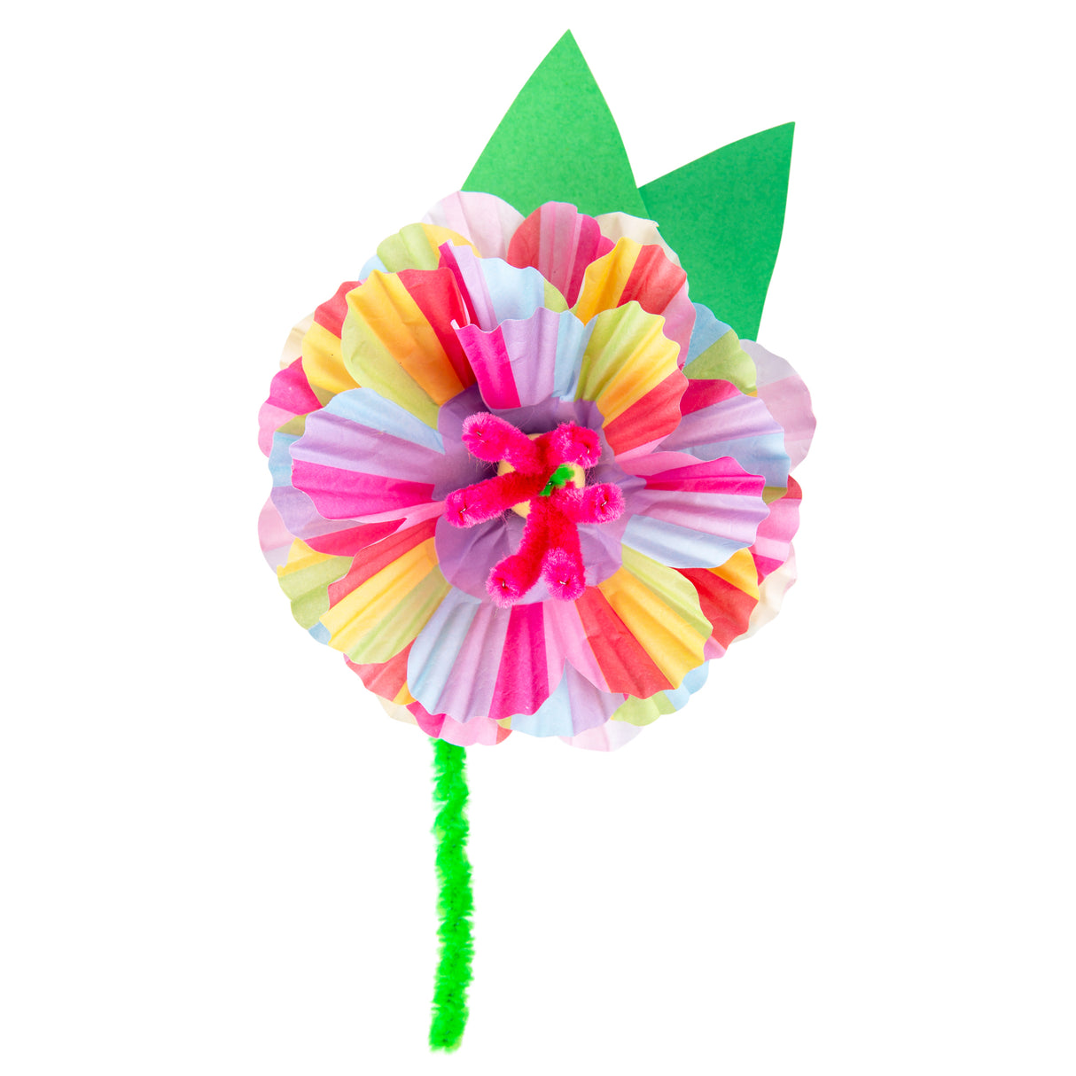Zart Rainbow Patty Pans Pack of 250 - Educational Vantage