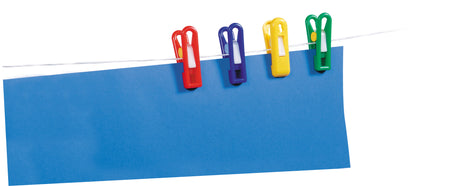 Painting Pegs - Educational Vantage