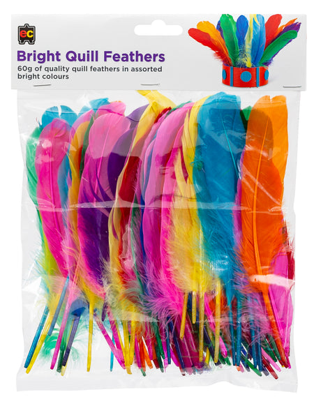 Bright Quill Feathers - Educational Vantage