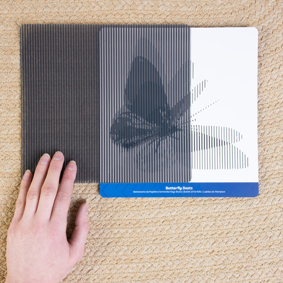 Mindful Motions Sensory Cards Explore