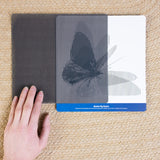 Mindful Motions Sensory Cards Explore