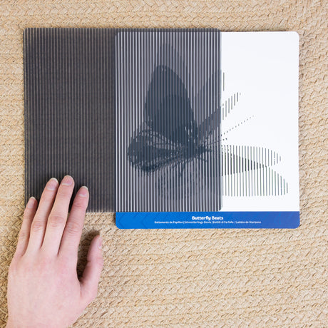 Mindful Motions Sensory Cards Explore
