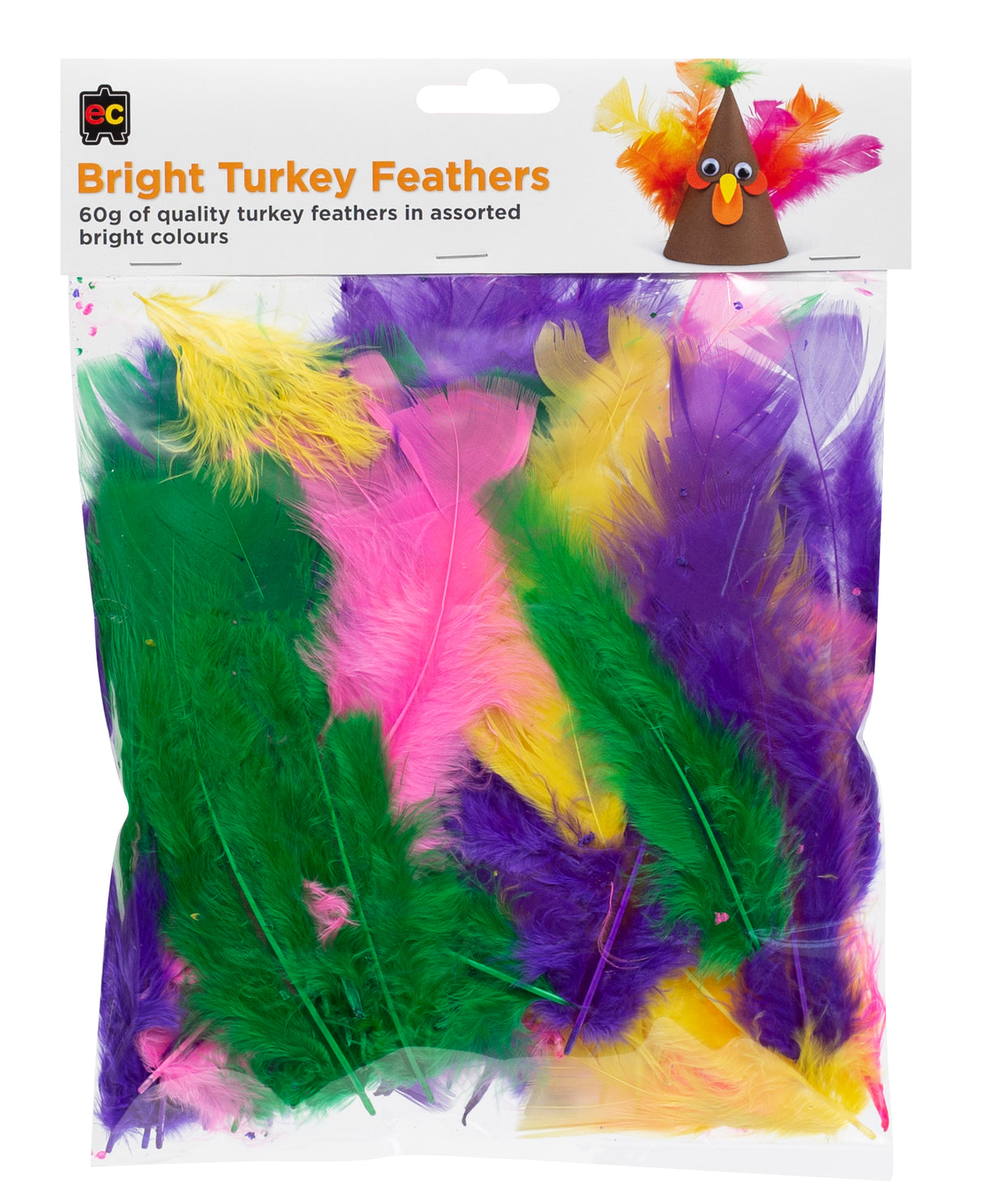 Bright Turkey Feathers - Educational Vantage